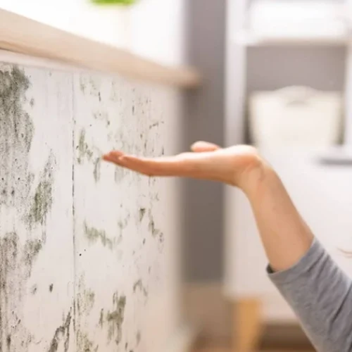 Things to Consider When Hiring a Damp Specialist Glasgow